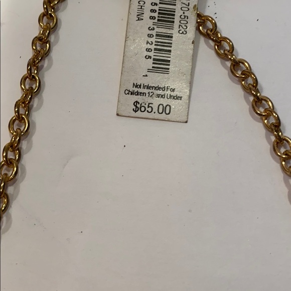 Statement Necklace - Picture 3 of 4